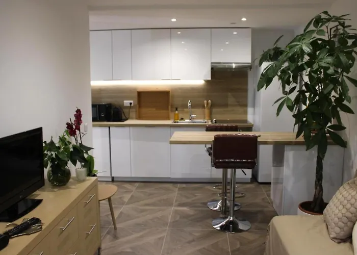 Apartment Le Patricia *