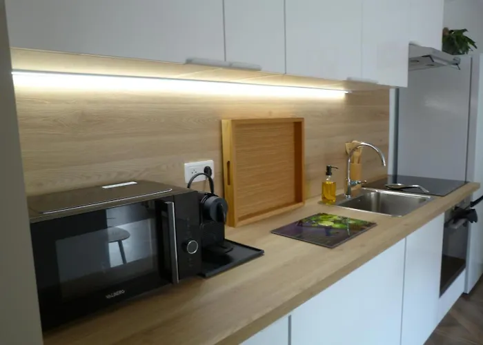 Le Patricia Apartment Menton